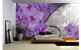 Fotobehang Vlies | Bloemen, Orchidee | Paars, Grijs | 254x184cm