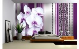 Fotobehang Vlies | Bloemen, Orchidee | Paars, Grijs | 254x184cm