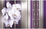 Fotobehang Vlies | Bloemen, Orchidee | Paars, Grijs | 254x184cm