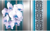 Fotobehang Vlies | Bloemen, Orchidee | Turquoise, Wit | 254x184cm