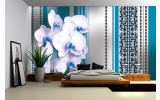 Fotobehang Vlies | Bloemen, Orchidee | Turquoise, Wit | 254x184cm