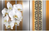 Fotobehang Vlies | Bloemen, Orchidee | Wit, Oranje | 254x184cm