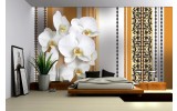 Fotobehang Vlies | Bloemen, Orchidee | Wit, Oranje | 254x184cm