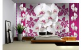 Fotobehang Vlies | Bloemen, Orchideeën | Roze, Wit | 254x184cm