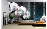 Fotobehang Vlies | Bloemen, Orchideeën | Turquoise | 254x184cm