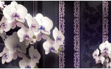 Fotobehang Vlies | Bloemen, Orchideeën | Paars | 254x184cm
