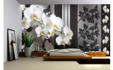 Fotobehang Vlies | Bloemen, Orchideeën | Grijs | 254x184cm