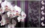 Fotobehang Vlies | Bloemen, Orchideeën | Paars | 254x184cm