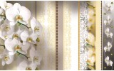 Fotobehang Vlies | Bloemen, Orchideeën | Geel | 254x184cm