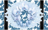 Fotobehang Vlies | Bloemen, Orchideeën | Blauw | 254x184cm
