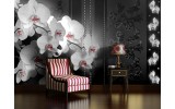 Fotobehang Vlies | Bloemen, Orchidee | Zwart | 254x184cm