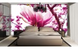 Fotobehang Vlies | Bloemen, Magnolia | Roze | 254x184cm
