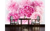 Fotobehang Vlies | Bloemen | Roze | 254x184cm