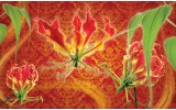 Fotobehang Vlies | Bloemen | Oranje, Rood | 254x184cm
