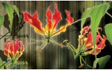 Fotobehang Vlies | Bloemen | Groen, Rood | 254x184cm