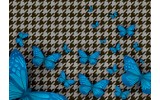 Fotobehang Vlies | Vlinder | Blauw, Grijs | 254x184cm