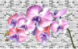 Fotobehang Vlies | Bloemen, Orchidee | Paars | 254x184cm