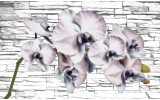 Fotobehang Vlies | Bloemen, Orchidee | Grijs | 254x184cm