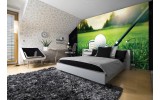 Fotobehang Vlies | Golf | Groen, Wit | 254x184cm