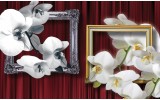 Fotobehang Vlies | Bloemen, Orchidee | Wit | 254x184cm