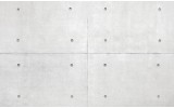 Fotobehang Vlies | Betonlook | Grijs | 254x184cm