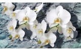 Fotobehang Vlies | Orchidee, Bloemen | Wit | 254x184cm