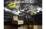 Fotobehang Voetbal | Grijs, Geel | 152,5x104cm