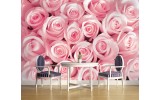 Fotobehang Vlies | Rozen, Bloemen | Roze | 254x184cm