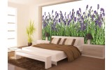 Fotobehang Vlies | Natuur, Lavendel | Groen | 254x184cm