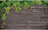 Fotobehang Vlies | Hout | Grijs, Groen | 254x184cm