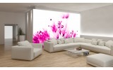 Fotobehang Vlies | Bloemen | Roze, Wit | 254x184cm