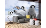 Fotobehang Vlies | Pinguïn, Dieren | Grijs | 254x184cm