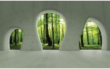 Fotobehang Vlies | Bos, Muur | Groen | 254x184cm
