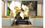Fotobehang Vlies | Orchidee, Bloemen | Geel | 254x184cm