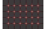 Fotobehang Vlies | Modern | Rood, Grijs | 254x184cm
