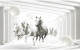 Fotobehang Vlies | Paarden, Modern | Wit | 254x184cm