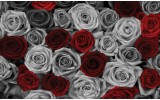 Fotobehang Vlies | Rozen | Grijs, Rood | 254x184cm
