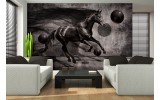 Fotobehang Vlies | Paard, Design | Zwart | 254x184cm