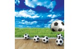 Fotobehang Vlies | Voetbalveld | Groen, Blauw | 254x184cm