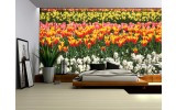 Fotobehang Vlies | Tulpen, Bloemen | Oranje | 254x184cm
