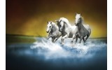 Fotobehang Vlies | Paarden | Blauw, Wit | 254x184cm