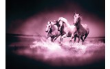 Fotobehang Vlies | Paarden | Paars | 254x184cm