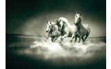 Fotobehang Vlies | Paarden | Grijs, Groen | 254x184cm