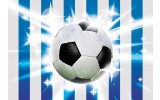 Fotobehang Vlies | Voetbal | Blauw, Wit | 254x184cm