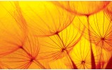 Fotobehang Vlies | Abstract | Geel, Oranje | 254x184cm