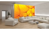 Fotobehang Vlies | Abstract | Geel, Oranje | 254x184cm
