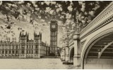 Fotobehang Vlies | London | Sepia | 254x184cm